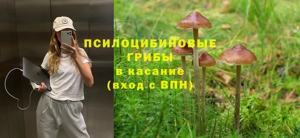 мяу мяу мука Алзамай