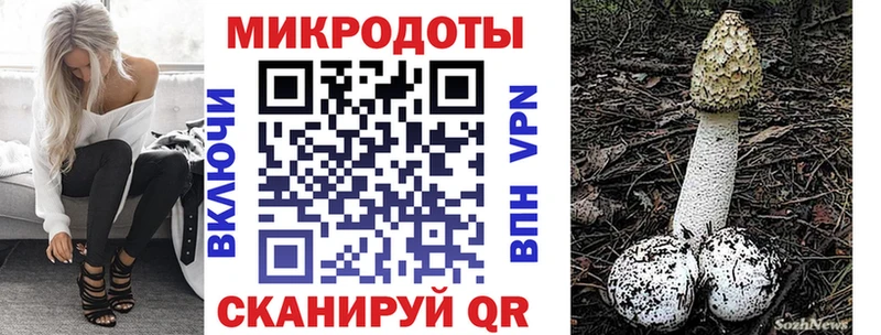 hydra рабочий сайт  Касли  Галлюциногенные грибы Psilocybe 